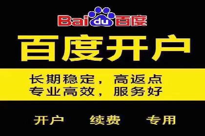 案例剖析：高价关键词推广的效益